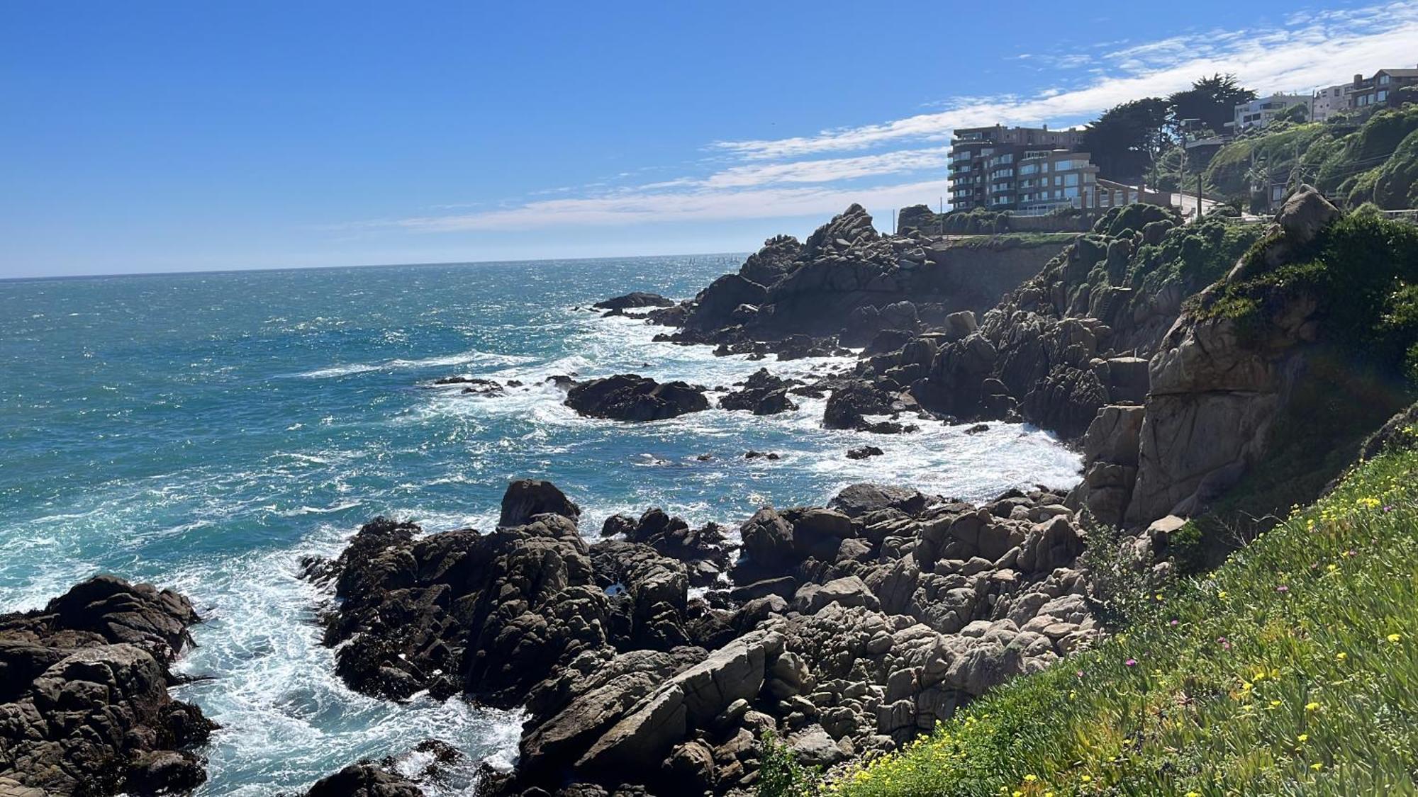 Roca Town House Apartamento